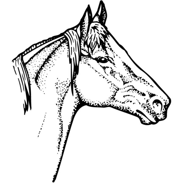 HORSE010 Thumbnail