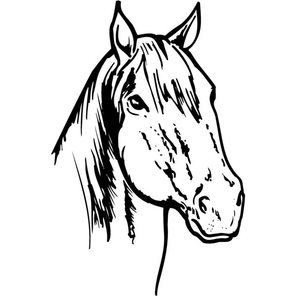HORSE011 Thumbnail