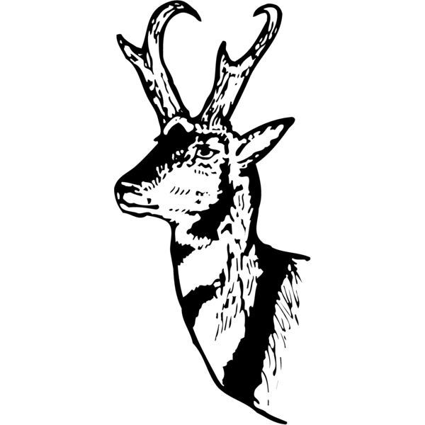 DEER013 Thumbnail