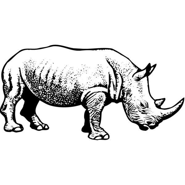 RHINO001 Thumbnail
