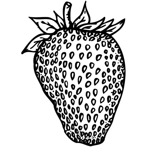 FRUIT010 Thumbnail