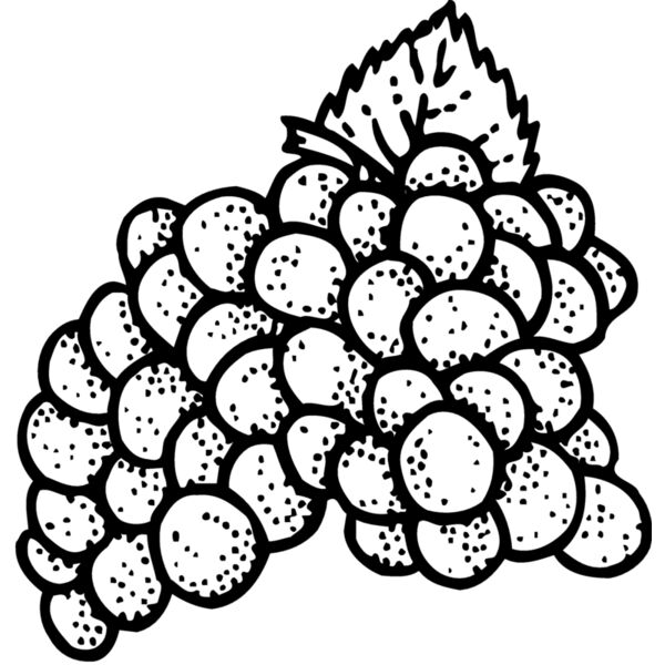 FRUIT016 Thumbnail