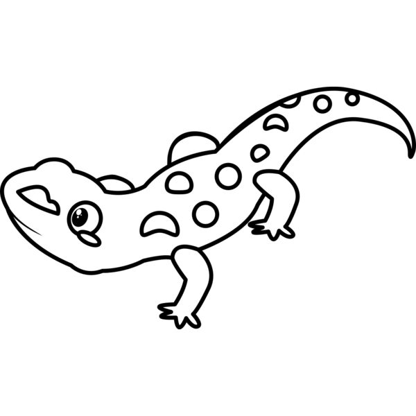 Newt   Clipart 2 Thumbnail