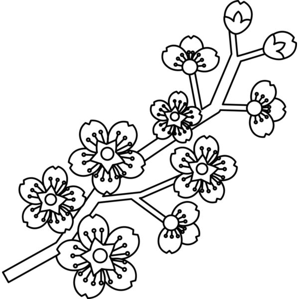 Cherry Blossom Branch Thumbnail