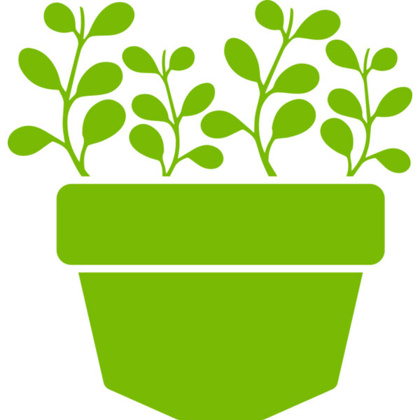 Succulent Plant 3 Thumbnail